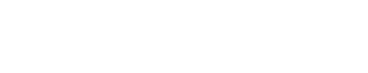 Little Citizens Boutique Logo