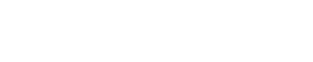 bag of bees logo white